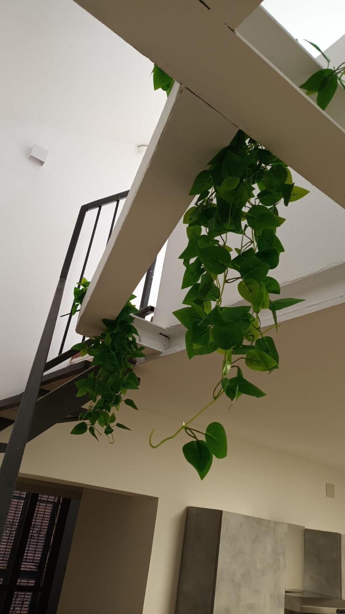 Apartament Casa N 1 Con Parcheggio Privato E Colonnina Ricarica Livorno Zewnętrze zdjęcie